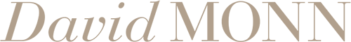 Logo David Monn