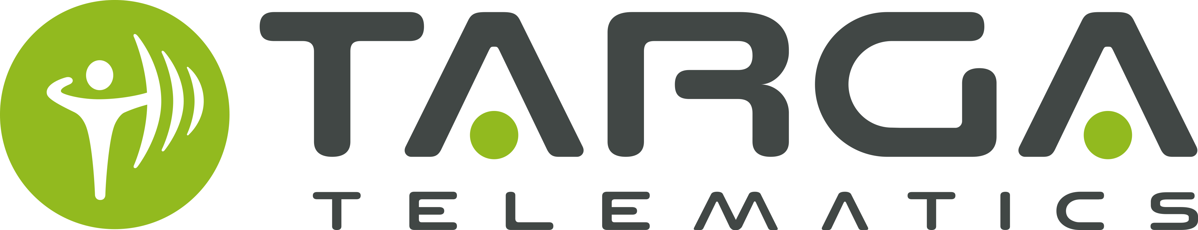 Logo Targa Telematics